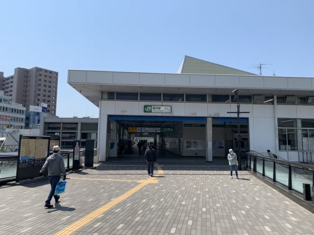 ペットと暮らす海沿いの都市の魅力