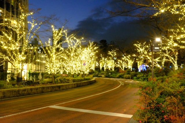 綺麗な夜景
